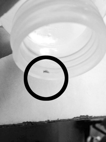 ��Ԫ�̷��ֺ�ɫ���� ������Ӧ�����ǽ�������