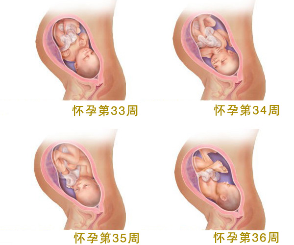 怀孕九个月_怀孕9个月胎儿图_孕妇9个月注意事项_吃什么好