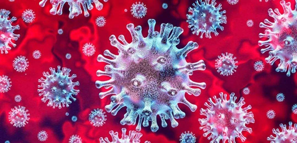新型冠状病毒会在夏天消失吗？